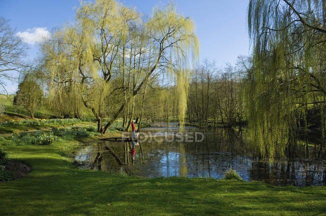 Frau und Hund stehen am Steg des Sees unter weinendem Weidenbaum. — Stockfoto