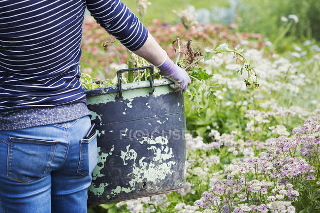 Woman carrying large garden bucket at flower bed. — Stock Photo