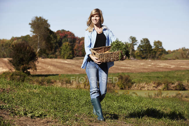 Mitte erwachsene Frau geht über Feld und hält Korb mit Getreide. — Stockfoto