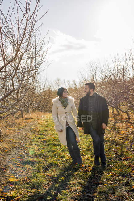 Young couple holding hands while walking in orchard in winter. — Stock Photo