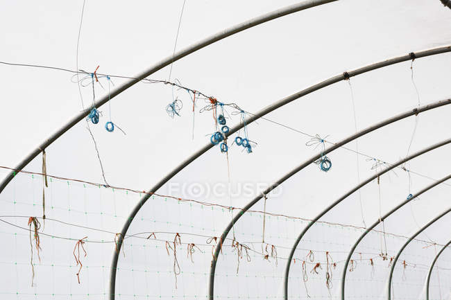 Framework of polytunnel with blue knots of strings. — Stock Photo