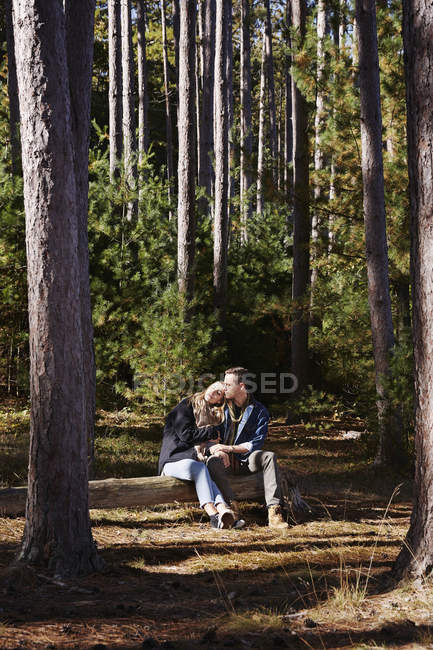Woman leaning on male shoulder while sitting on log in pine forest. — Stock Photo