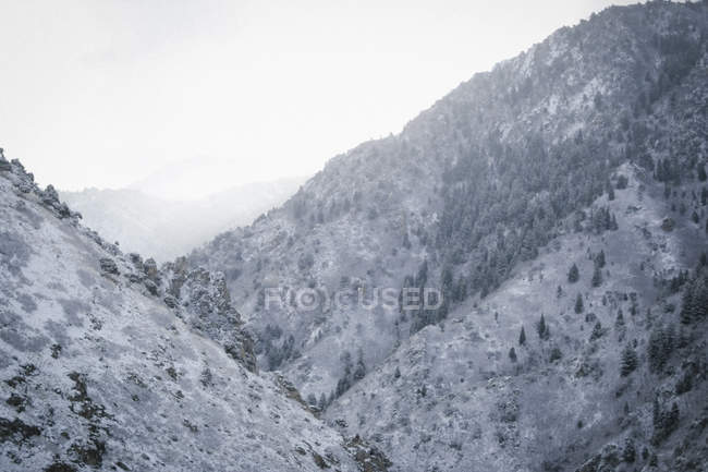 Paisaje montañoso con laderas cubiertas de nieve que descienden hacia el valle en Utah, EE.UU. . - foto de stock