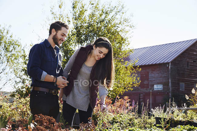 Jovem e mulher olhando para as plantas em exposição no centro do jardim . — Fotografia de Stock