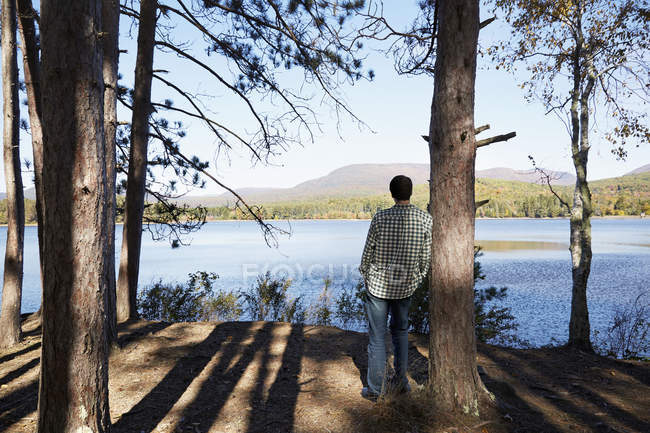 Rückansicht eines Mannes, der im Schatten von Kiefern steht und auf den See blickt. — Stockfoto