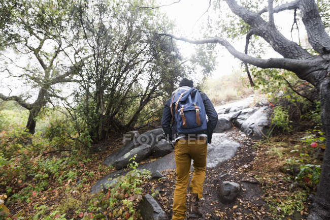 Молодий чоловік ходить з рюкзаком у лісі . — стокове фото