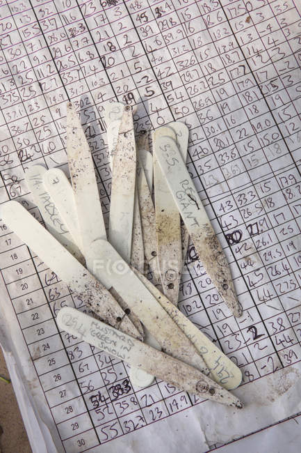 Handwritten chart on clipboard and plant labels. — Stock Photo