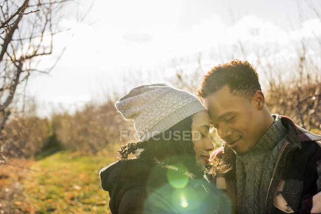Young couple standing face to face in soft light in orchard in winter. — Stock Photo