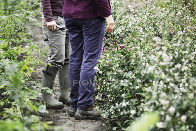Deux personnes debout à la pépinière de fleurs biologiques . — Photo de stock