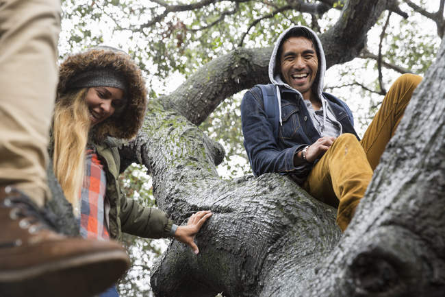 Sorrindo jovem mulher e homem sentado na árvore . — Fotografia de Stock