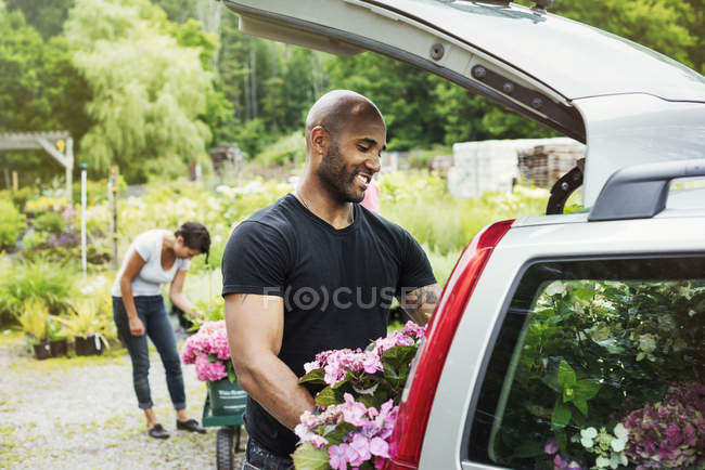 Hombre cargando flores en el maletero del coche estacionado en el centro del jardín . - foto de stock
