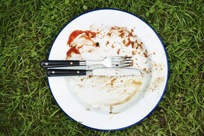 Blick auf schmutzigen Teller mit Messer und Gabel auf grünem Rasen. — Stockfoto