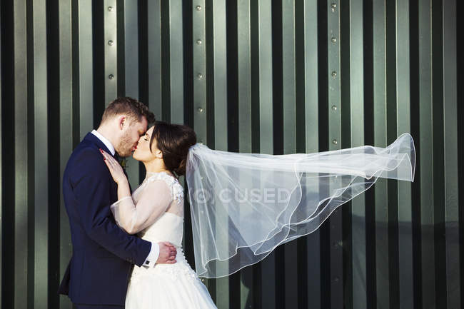 Braut mit windgeblasenem Schleier und Bräutigam küssen sich vor grüner Wellblechwand, Seitenansicht. — Stockfoto