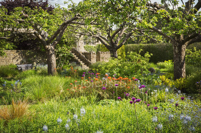 Arbustos de jardim verde e plantas na borda da flor pela casa da fazenda
. — Fotografia de Stock