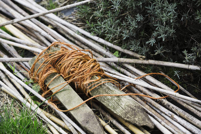 Пучок веток и садовой веревки на садовой дорожке . — стоковое фото