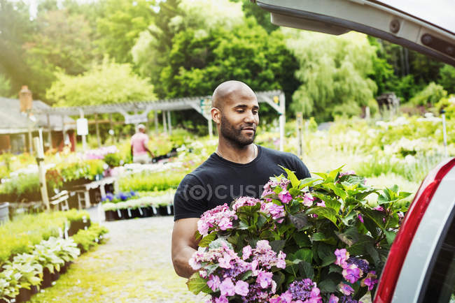 Homme chargeant des fleurs dans le coffre de la voiture garée au centre de jardin . — Photo de stock