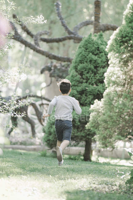 Вид ззаду хлопчика початкового віку, що біжить по газону в саду . — стокове фото