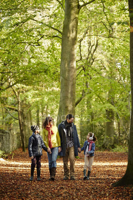 Family in warm coats walking hand in hand in beech woods in autumn. — Stock Photo