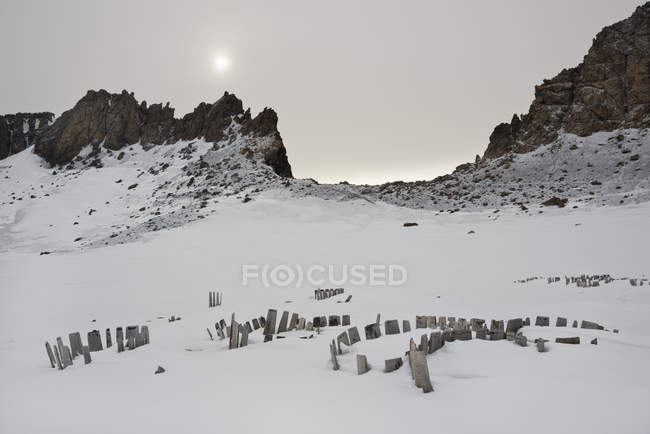 Holzlatten aus Wasserfässern ragen an verlassener Walfangstation aus dem Schnee. — Stockfoto