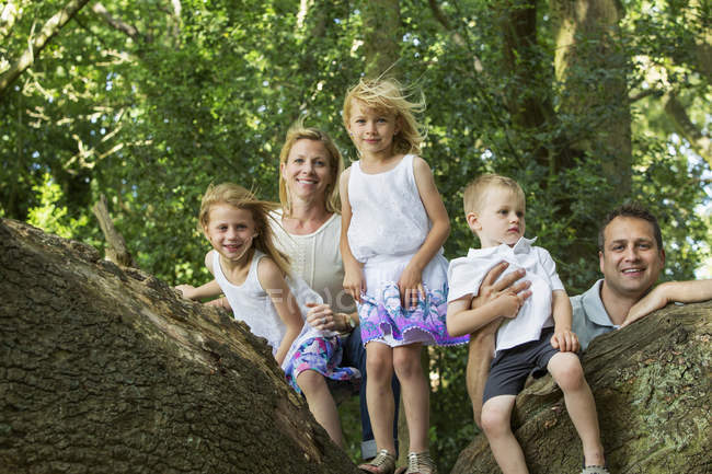 Семья с тремя детьми позирует на дереве в парке . — стоковое фото