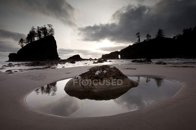 Segunda trilha de praia no Parque Nacional Olímpico, Washington, EUA — Fotografia de Stock