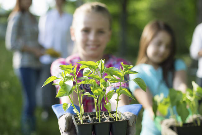 Pre-adolescent girl holding out tray of seedlings while gardening on farm with family. — Stock Photo