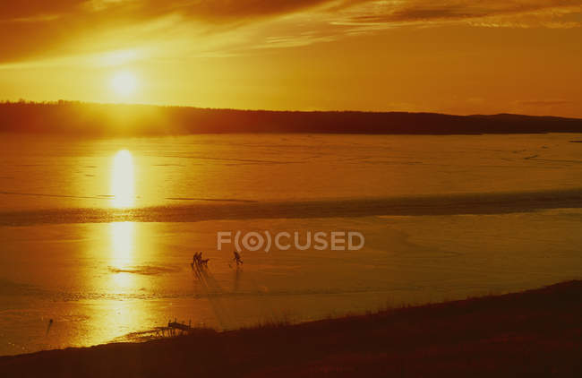 Silhouettes of three people and dog playing hockey on ice of frozen lake. — Stock Photo