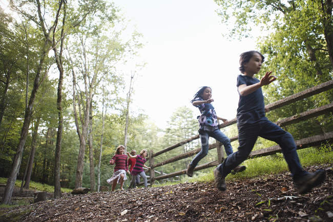 Bambini in età elementare che corrono intorno al paddock con recinzione in legno in campagna . — Foto stock
