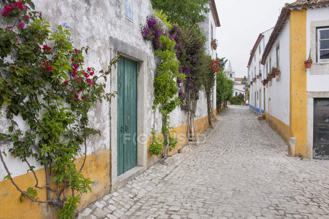 Calle tranquila y estrecha de casas tradicionales en el pueblo de Sonega, Portugal . - foto de stock