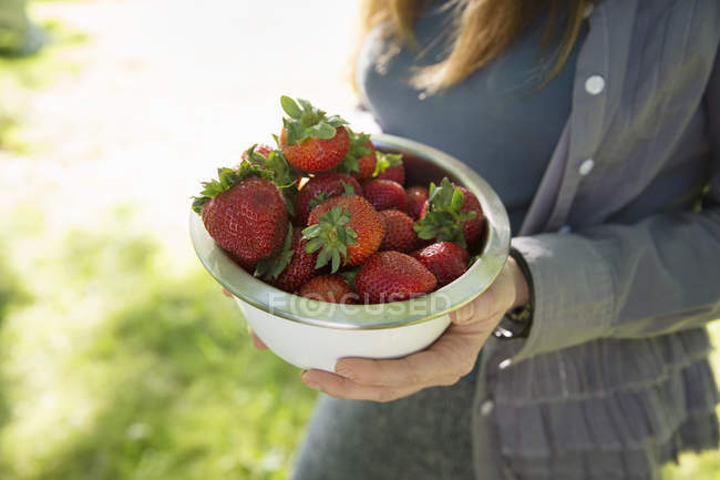 Femme portant un bol de fraises bio fraîchement cueillies . — Photo de stock