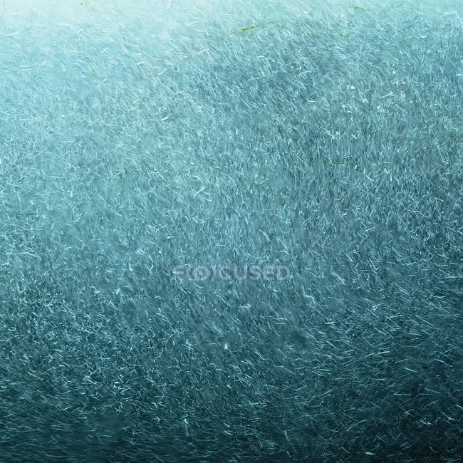 Luftdüsen unter blauem Wasser, voller Rahmen. — Stockfoto