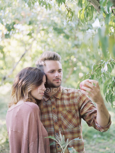 Jeune couple debout près du pommier dans le verger et tenant la pomme . — Photo de stock