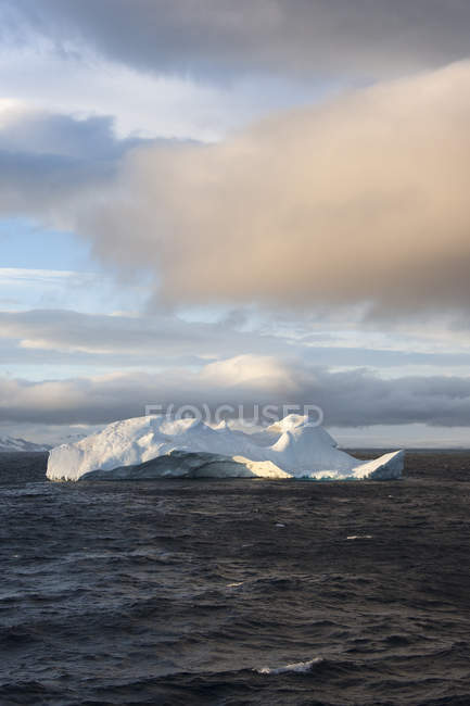 Iceberg en el agua del Océano Austral . - foto de stock