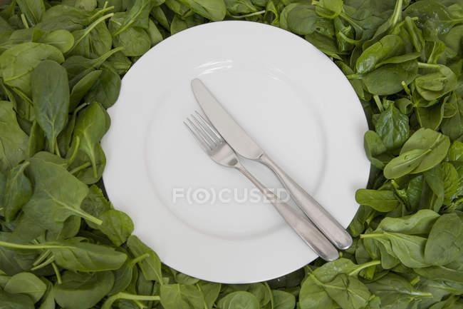 Piastra bianca con coltello e forchetta appoggiata su foglie commestibili . — Foto stock