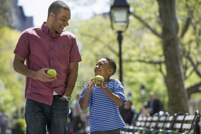 Mid adult man and elementary age boy eating apples in sunny park. — Stock Photo