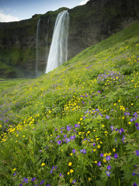 Водоспадний каскад над чистою скелею в зеленому лузі дикої квітки . — стокове фото