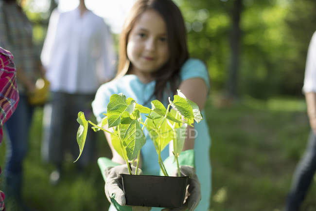 Menina pré-adolescente segurando bandeja de mudas enquanto jardinagem na fazenda com a família . — Fotografia de Stock