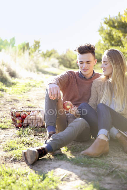 Jovem casal sentado no chão com cesta de maçãs no pomar . — Fotografia de Stock
