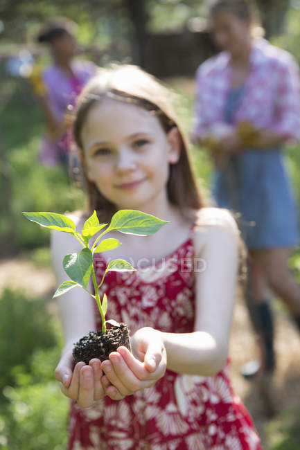 Elementary idade menina segurando planta com folhagem verde nas mãos com irmãs no fundo . — Fotografia de Stock