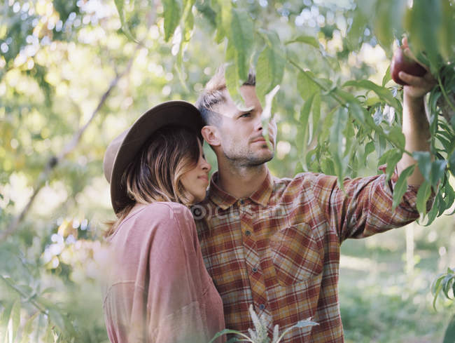 Young couple standing by apple tree in orchard and holding apple. — Stock Photo