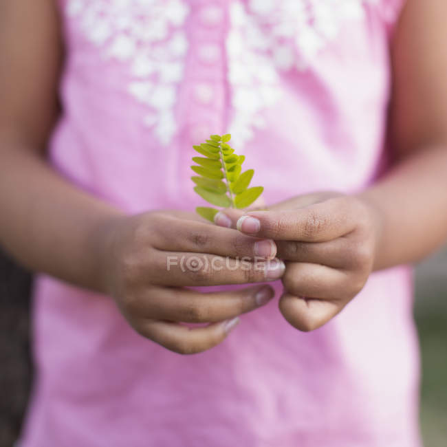 Cropped view of girl in pink shirt holding fern leaf in hands. — Stock Photo