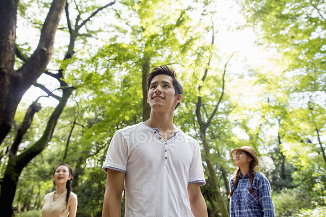 Низький кут зору молодих чоловіків і жінок, що стоять у сонячному лісі . — стокове фото