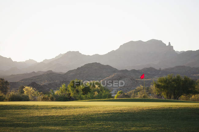 Campo de golf verde con paisaje de montaña en Arizona
. - foto de stock