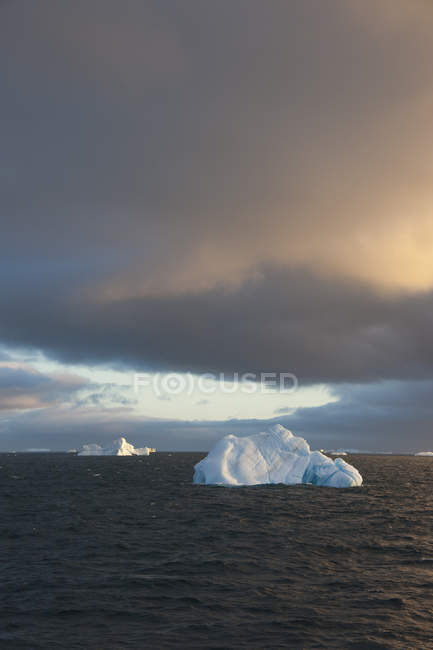 Icebergs na água do mar de Weddell no Oceano Antártico ao pôr do sol . — Fotografia de Stock