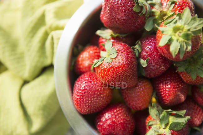Bol de fraises bio fraîchement cueillies . — Photo de stock
