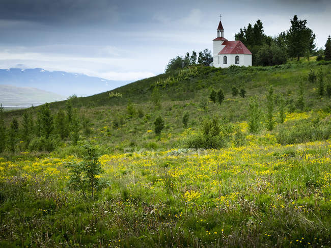 Pequeña iglesia histórica en campo abierto entre prado de flores silvestres . - foto de stock