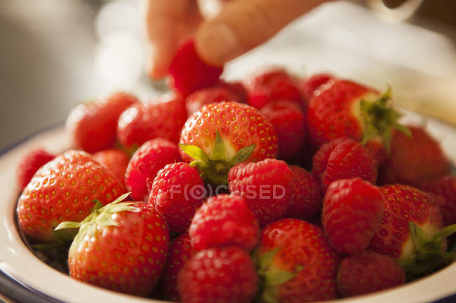 Persona mano tomando bayas de tazón de fresas frescas, primer plano
. - foto de stock