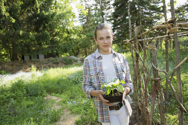 Teenage girl holding plants with green leaves in pot in countryside. — Stock Photo