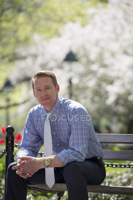 Бізнесмен в сорочці і краватці сидить на лавці парку під деревом з розквітлим . — стокове фото
