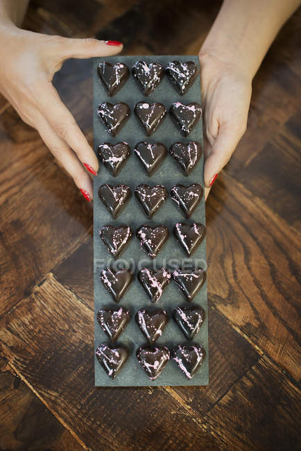 Close-up of female hands holding tray of moulded chocolates. — Stock Photo